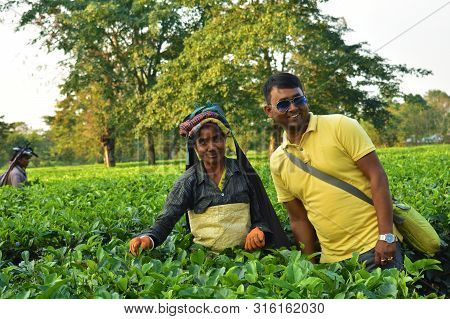 Tourist Poses With A Tea Worker Who Pick Up Tea Leafs By Hand At Tea Garden In Darjeeling