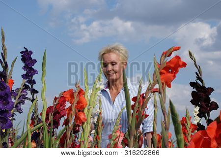 The Colorful Gladioli Seduce This Young Woman To Dream, She Is Thrilled By The Beautiful Colorful Fl
