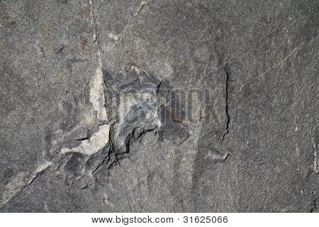 Rock
