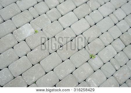 Paving Stones. Concept Of Laying Paving Slabs And Pavers. Paving Stones. Concrete Pavement Blocks