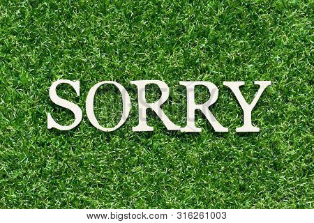 Wood Alphabet Letter In Word Sorry On Artificial Green Grass Background