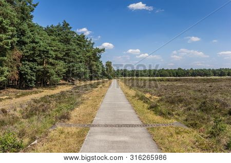 Bicycle Path In National Park Dwingelderveld, Netherlands