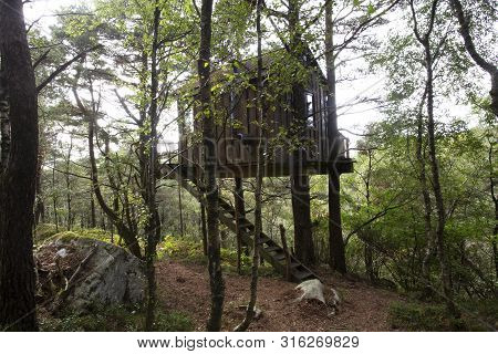 Treehouse In Norway In A Green Forest, Sleeping Accommodation September 2018
