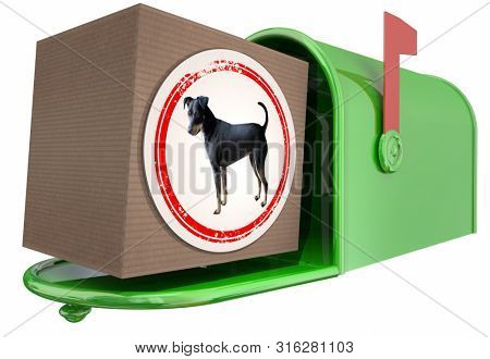 Dog Pet Animal Mailbox Package Delivery 3d Illustration
