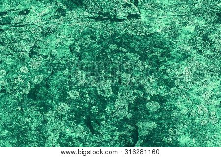 Vintage Green Background. Rough Painted Wall Of Emerald Color. Imperfect Plane Of Virid Colored. Une