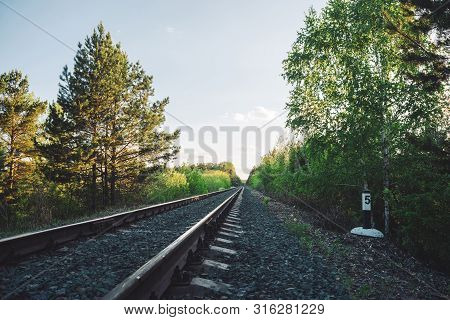 Scenery With Railway In Perspective Across Forest. Journey On Rail Track. Sleepers And Rails. Vanish