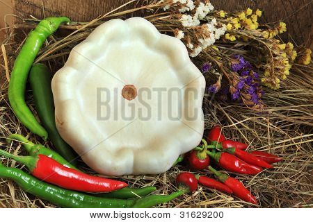 Pattypan สควอชและพริกพริก