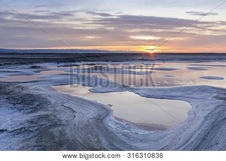 Alviso Salt Marshlands. Alviso Marina County Park, Santa Clara County, California, Usa.