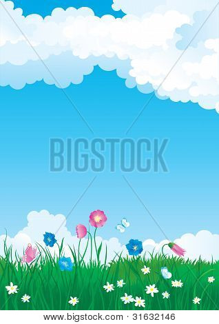 Blossom sommer
