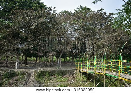 View Of Buxa Tiger Reserve At Doors On A Cloudy Evening. Traveling To Dooars .