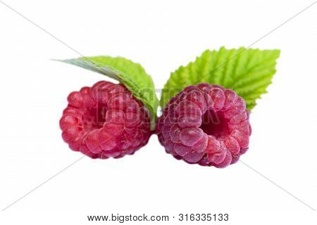 Ripe Raspberry With Green Leaves Isolated On White Background. Isolated Raspberry. Two Fresh Raspber