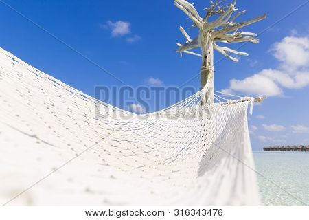Hammock Over The Sea