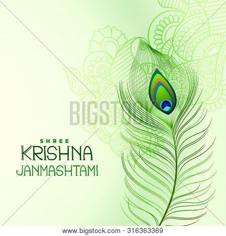 Peacock Feather Design For Shree Krishna Janmashtami