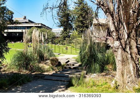 Lisbon, Portugal- March 17, 2019: Beautiful Gardens Of Gulbenkian Museum In Lisbon, Portugal. Sunny 