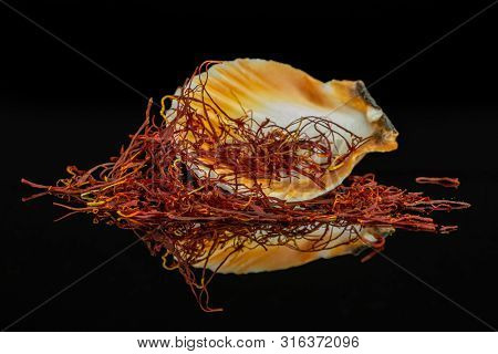 Lot Of Whole Dry Shaffron Thread In Seashell Isolated On Black Glass