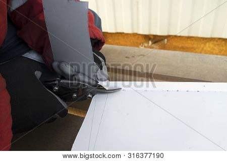 Builder With Scissors Cuts A White Steel Sheet. A Working Tinsmith Cuts Out An Iron Roof At A Mark.