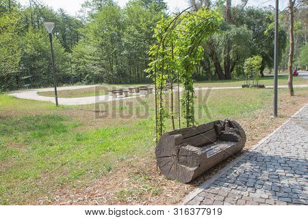 Wooden Park Bench In A Park On A Beautiful Summer Day. Omantic Bench In Peaceful Park In Spring. The