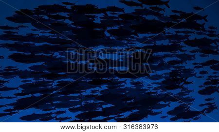 School Of Fish Swims Past Camera Light Rays Shining Through. Silhouettes. Great Popular Marine Backg