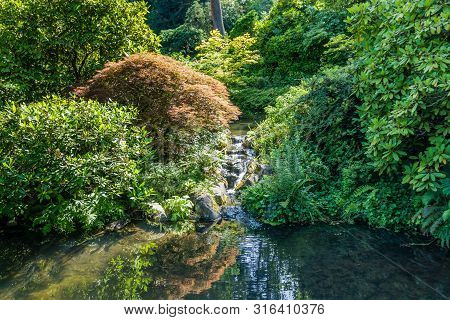 Water Flows Inton A Pond At A Garden In Renton, Washington.