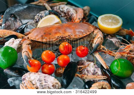 Seafood On Ice. Crabs, Sturgeon, Shellfish, Shrimp, Rapana, Dorado, On White Ice.