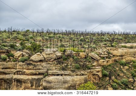 Mesa Verde National Park In Colorado, Usa
