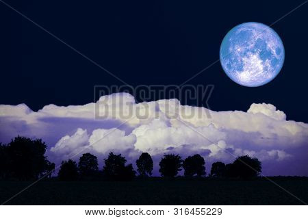 Rose Moon Back Silhouette Trees In The Field