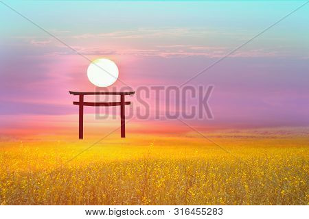 Sunset Over Torii Wood Gold Sunhemp In The Field
