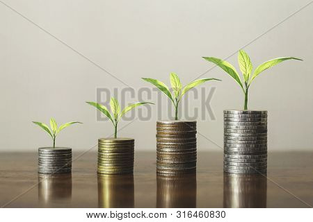 Stack Coins With Plants To Grow Into Steps. Business Growth Concept