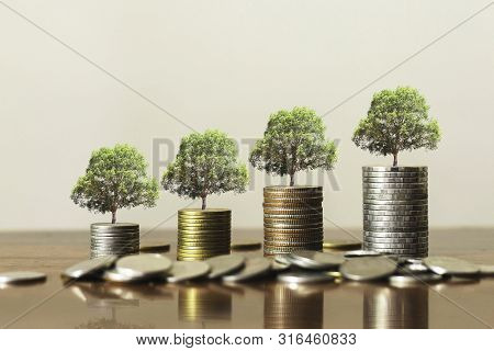 Stack Coins With Plants To Grow Into Steps. Business Growth Concept