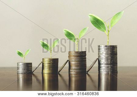 Stack Coins With Plants To Grow Into Steps. Business Growth Concept