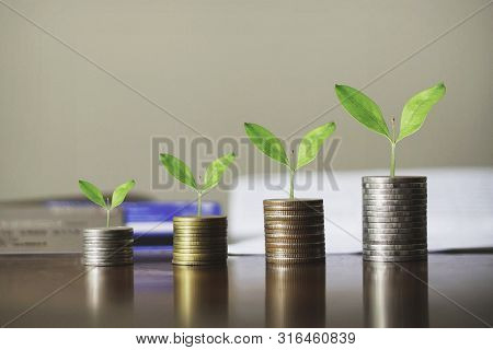 Stack Coins With Plants To Grow Into Steps. Business Growth Concept