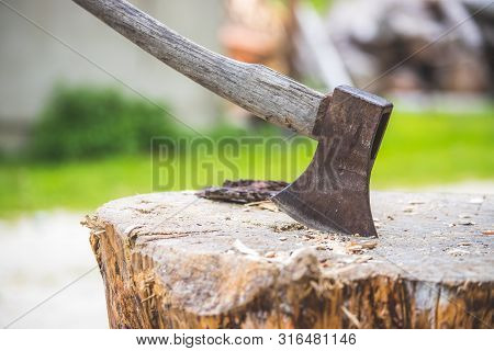 Getting Wood For Fire: Axe Attached To A Tree Trunk