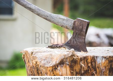 Getting Wood For Fire: Axe Attached To A Tree Trunk
