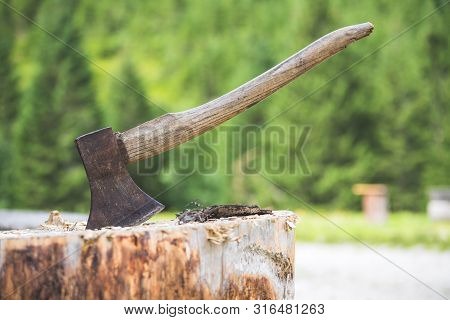Getting Wood For Fire: Axe Attached To A Tree Trunk
