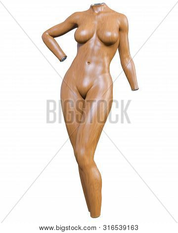Female Mannequin. Torso