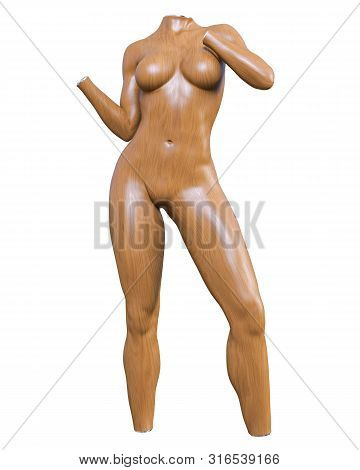 Female Mannequin. Torso
