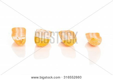 Group Of Four Halves Of Stale  Orange Stale Baby Carrot Baby Isolated On White Background