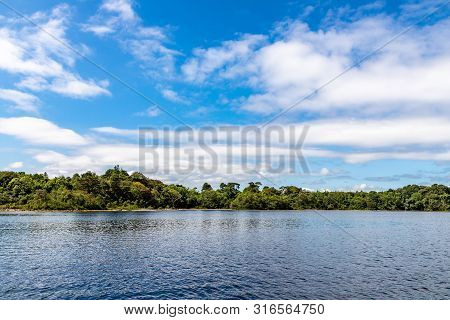 Forest In Island Of Lough Corrib