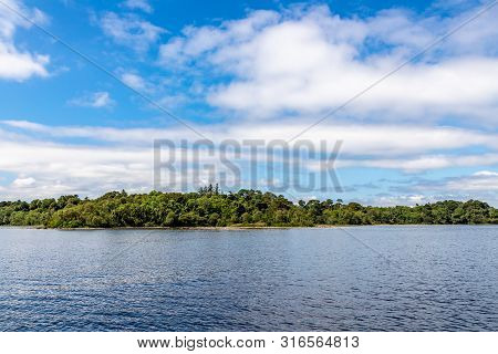 Forest In Island Of Lough Corrib