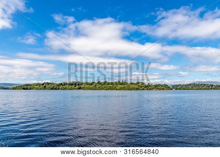 Forest In Island Of Lough Corrib