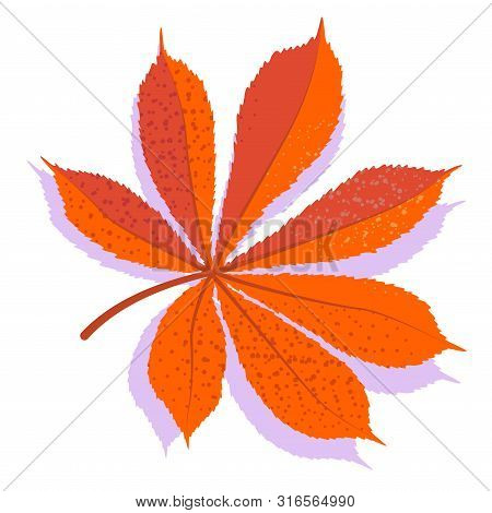 Orange Vector Chestnut Leaf With Shadow, Isolated On White Background. Single Autumn Leaf.