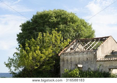 An Abandoned House In The Middle Of French Vineyards