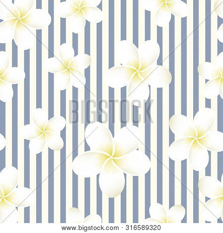 Seamless Striped Vector Tropical Pattern. Plumeria, Frangipani.
