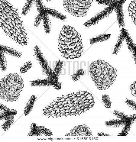 Seamless Pattern Cones And Pine And Spruce Tree Branches. Vector Sketch Hand Drawn Illustration.
