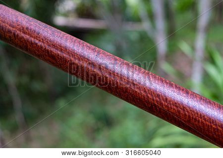 Wood Logs Round Lath Of Burma Padauk, Exotic Wooded Beautiful Pattern For Crafts Or Diy At Blured Ba
