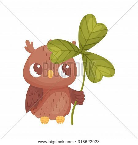 Cartoon Owl With Clover. Vector Illustration On White Background.
