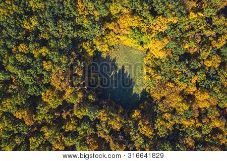 Top View Of A Forest Clearing From A Drone