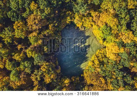 Top View Of A Forest Clearing From A Drone