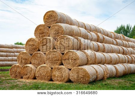 Hay Bales. Hay Bales Are Stacked On The Field In Large Stacks.