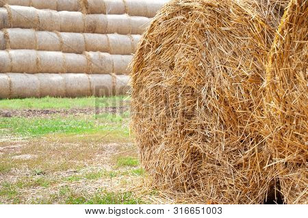 Hay Bales. Close-up Of Large Hay Bales Stacked In Stacks.